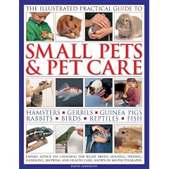 Small Pets & Pet Care, The Ill Practical Guide to: Expert advice on choosing the right breed, housing, feeding, handling, showing and health care, shown in 800 photographs