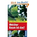 Welcher Baum ist das?