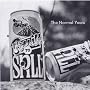 Normal Years ~ Built to Spill