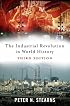 The Industrial Revolution in World History