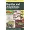 Reptiles Guides