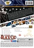 Black Cat, Vol. 1 - The Cat Out of the Bag