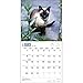 Siamese Cats 2015 Wall Calendar