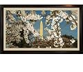 Panoramic Photo of Washington D.C. Cherry Blossom