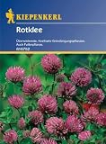 Eigenschaften Kiepenkerl - sonstiges Saatgut  / Rotklee Gründünger