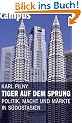 Tiger auf dem Sprung: Politik, Macht und M�rkte in S�dostasien