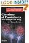 Chemistry of Pyrotechnics: Basic Principles and Theory, Second Edition