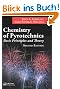 Chemistry of Pyrotechnics: Basic Principles and Theory