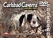 Carlsbad Caverns National Pard DVD Postcard