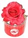 Red Hat Society Red Silk Flower Pin