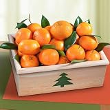 High Sierra Mandarins Crate Fruit Gift