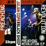 Preaching Revolution [7" VINYL]