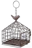 Iron Birdcage