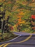 Canopy of Autumn Color over Highway 41, Copper Harbor, Michigan, USA Photographic Poster Print by Chuck Haney, 24x32