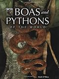 Boas and pythons of the world