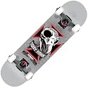Birdhouse (CPX1034) Tony Hawk Skull 2 Series 7.5-Inch Full Size Complete Skateboard (Silver)