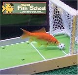 R2 Solutions R2 Fish School
