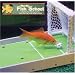 R2 Solutions R2 Fish School
