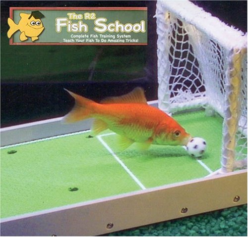 Buy Now at Amazon.com: R2 Solutions R2 Fish School