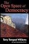 The Open Space of Democracy