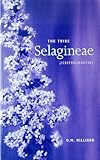 The tribe selagineae (scrophulariceae)