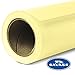 Savage Seamless Background Paper - #93 Lemonade (26 in x 36 ft)