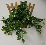 Garden or Home Indoor Outdoor Bamboo Wall Fan Planter