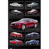 Ford Mustang - Poster (Shelby Evolution - 9 Different Mustang Shelbys) (Size: 24