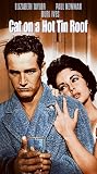Cat On a Hot Tin Roof - Movie Poster - 11 x 17