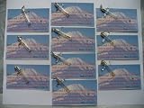 Wholesale Lot of Mustard Seed Cross Pendants and Scripture Cards. (10)