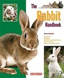 The Rabbit Handbook (Barrons Pet Handbooks)