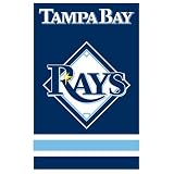 Tampa Bay Rays MLB Applique Banner Flag (44x28)