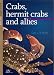 Book Crabs, Hermit Crabs and Allies (Museum Victoria Field Guide)