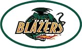 University of Alabama Birmingham Blazers Trailer Hitch Cover