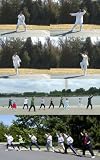 Dr. Chen's Tai Chi GongFa 501 (Easy, Fun, Effective Workout, 57 Minutes)