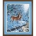 Creekside Deer PBN