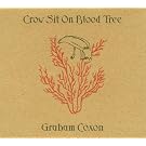 Crow Sit On Blood Tree
