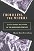 Troubling the Waters: Black-Jewish Relations in the American Century (Politics and Society in Twentieth Century America)