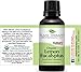 Plant Therapy Organic Lemon Eucalyptus Essential Oil 100% Pure, USDA Certified Organic, Undiluted, Natural Aromatherapy, Therapeutic Grade 30 mL (1 oz)