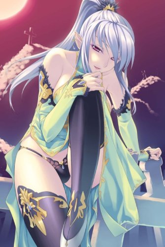 Cover image : 萌え萌え妖精事典