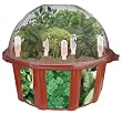 DuneCraft Dome Terrariums - Herbs