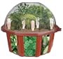 DuneCraft Dome Terrariums - Herbs