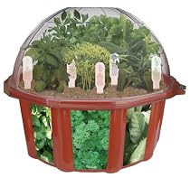DuneCraft Dome Terrariums - Herbs