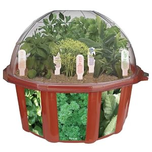 DuneCraft Dome Terrariums - Herbs