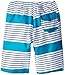 Volcom Big Boys' Haugg St Boardshort