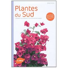 Plantes du Sud : Comment les choisir et les cultiver facilement