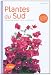 Plantes du Sud : Comment les choisir et les cultiver facilement