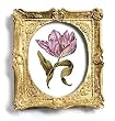 genus Tulipa 11 - Gold Frame Magnet with pop-out easel (2-3/4" x 2-1/2")