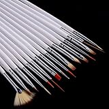 16 Piece Nail Art Tip Brush Tool Set - Dotting Pen Drawing Liner Striper and Fine Detail with Free Gift Glitter Powder