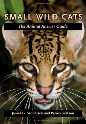 Small Wild Cats: The Animal Answer Guide (Animal Answer Guides: Q&A for the Curious Naturalist) [Paperback]